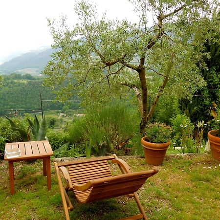 Guesthouse Runcini Ferentillo Εξωτερικό φωτογραφία