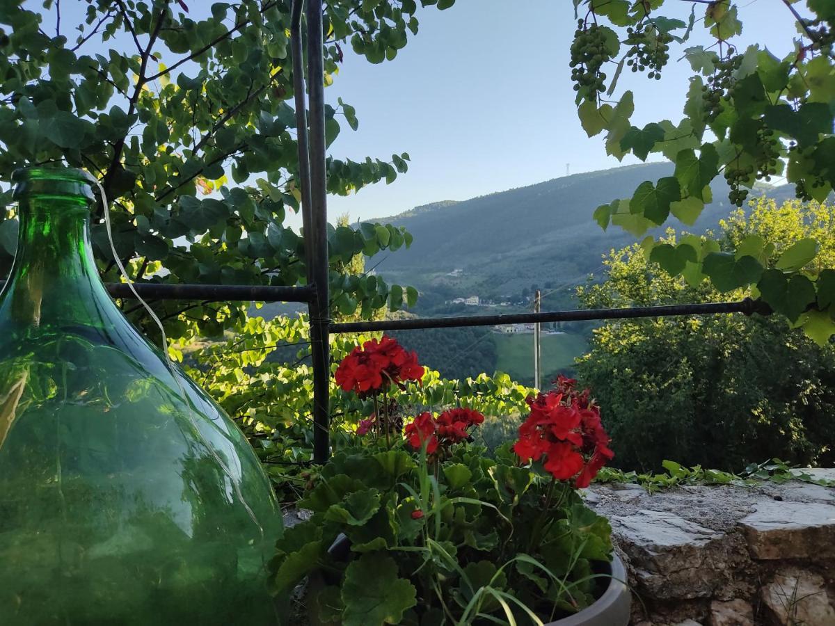 Guesthouse Runcini Ferentillo Εξωτερικό φωτογραφία
